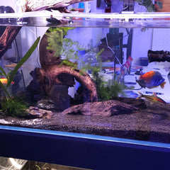 Collection image for: Tanks