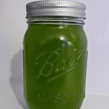 Tetraselmis Phytoplankton 16oz Jar