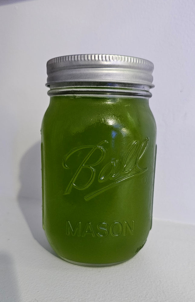 Tetraselmis Phytoplankton 16oz Jar