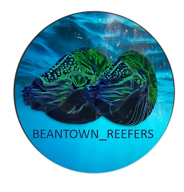 Beantown Reefers Sticker